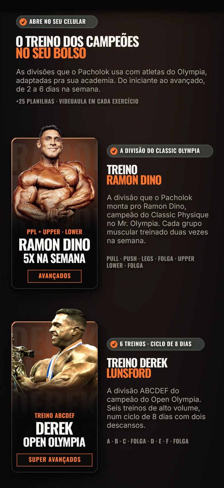 O treino dos campeões no seu bolso: as divisões que o Pacholok usa com atletas do Olympia, adaptadas pra sua academia, do iniciante ao avançado, de 2 a 6 dias na semana. +25 planilhas, videoaula em cada exercício. Treino Ramon Dino: a divisão do Classic Olympia, 5x na semana.