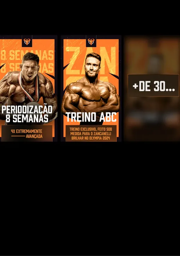 Capas de algumas planilhas do ADG 2.0, periodização de 8 semanas, treino ABC e mais de 30 opções